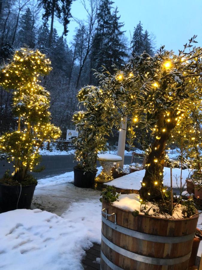 Swiss Star Home Illnau-Effretikon Екстериор снимка